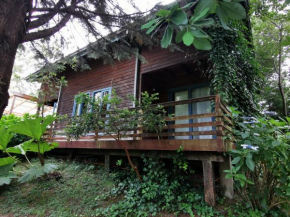 Pudomo cabin in Coñaripe - with exclusive hot tub